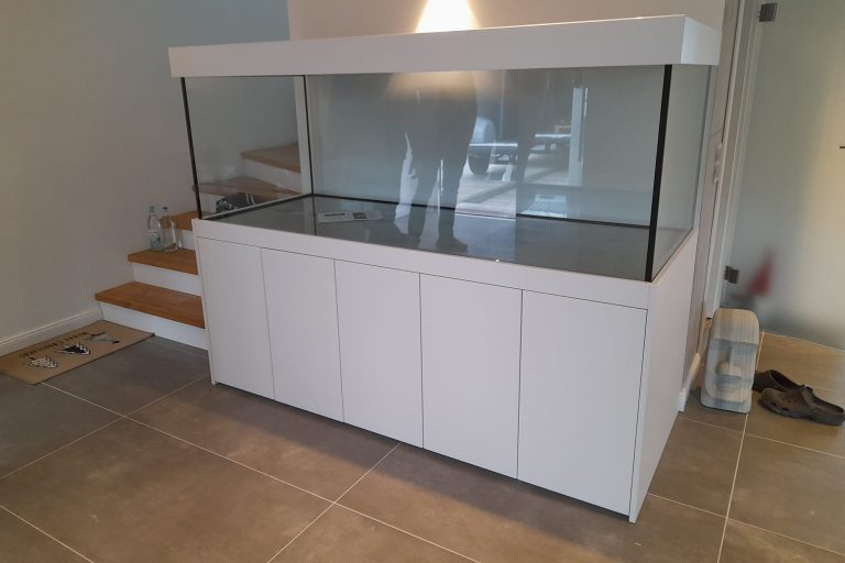 Aquarium mit Pflanzen und Steinen und Holz als Dekoration