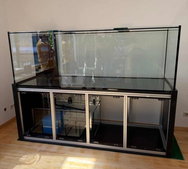 Aquarium im Wohnzimmer mit bunten Fischen und Steinen als Dekoration