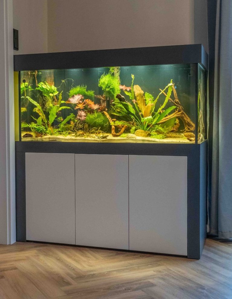 Aquarium mit Unterschrank und Abdeckung in weiß matt