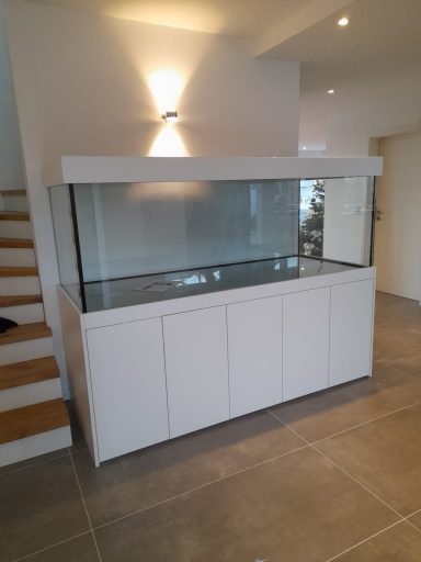 Ein großes, leeres Aquarium mit einem weißen Untergestell steht in einem hellen Raum.