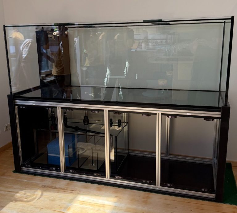 Aquarium im Wohnzimmer mit bunten Fischen und Steinen als Dekoration