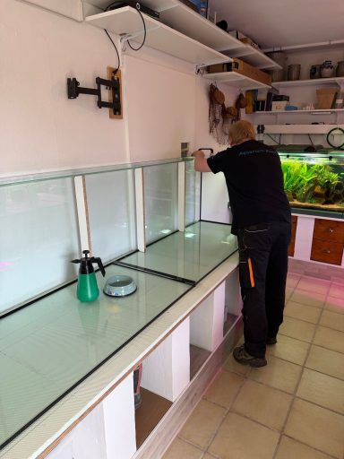 Ein großes, leeres Aquarium auf einem weißen Unterschrank steht in einem Raum.