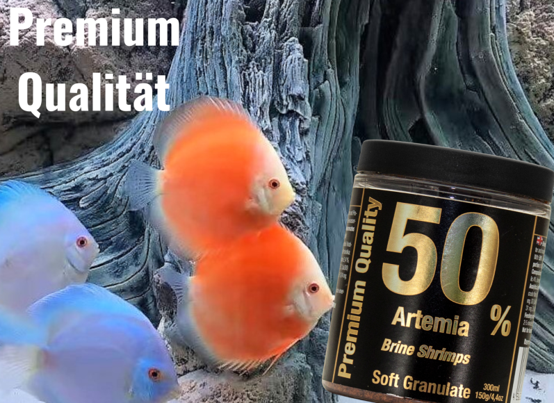 aquarium mit Diskusfischen