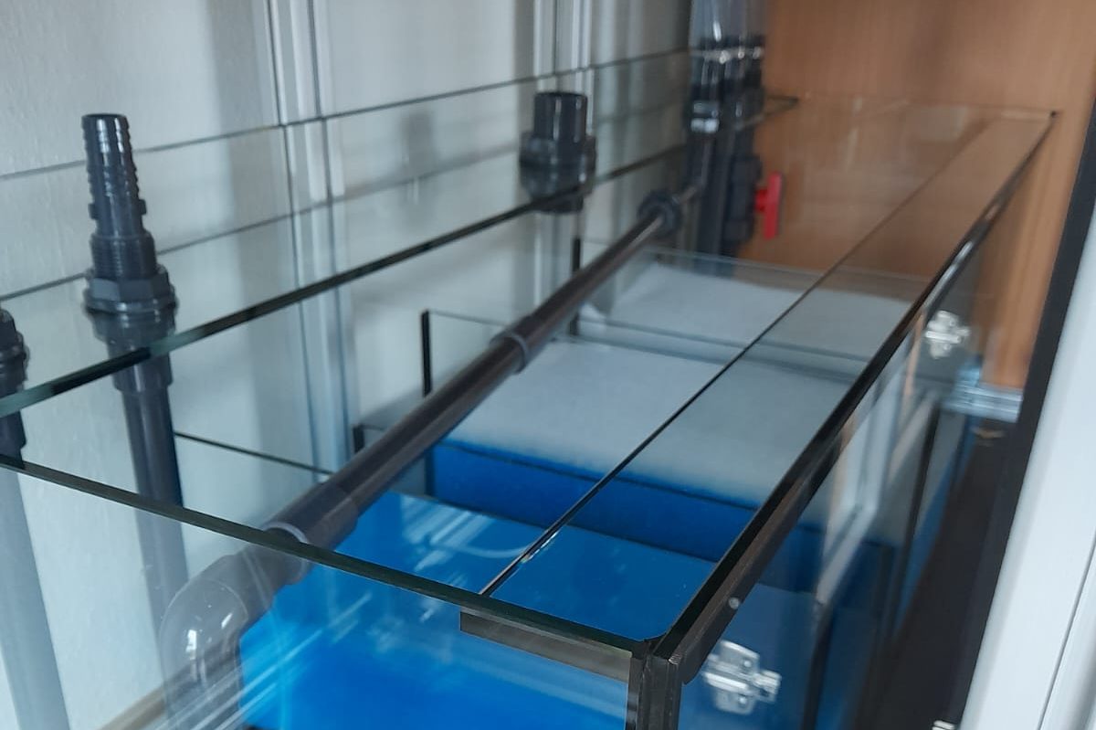 Aquarium mit vielen bunten Steinkorallen und Dekoration