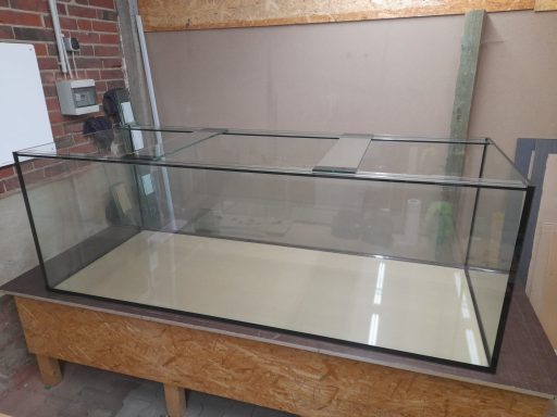 Ein großes, leeres Aquarium mit einem weißen Untergestell steht in einem hellen Raum.